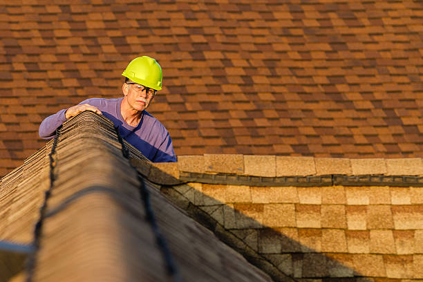 Best Roof Gutter Cleaning  in Hendersonville, NC
